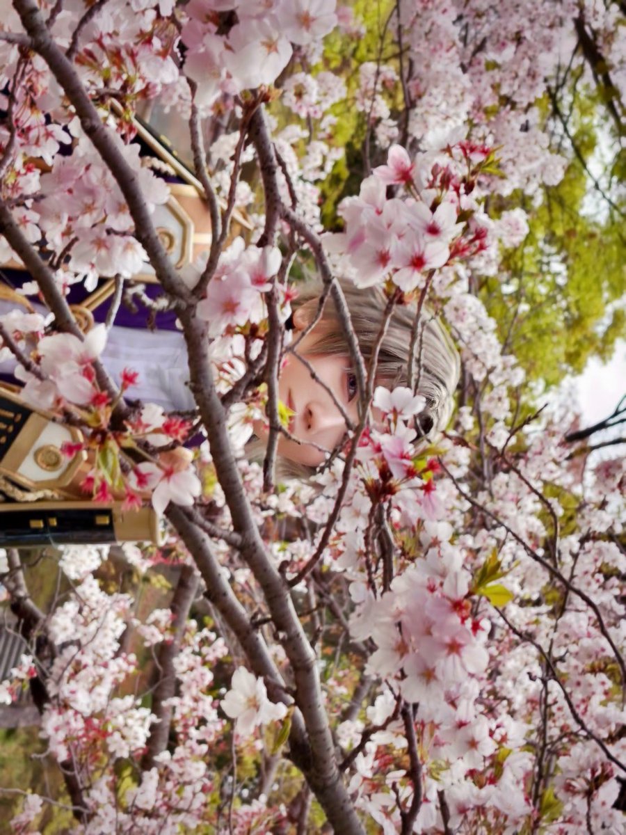 奈月🌖*·̩͙ tweet media