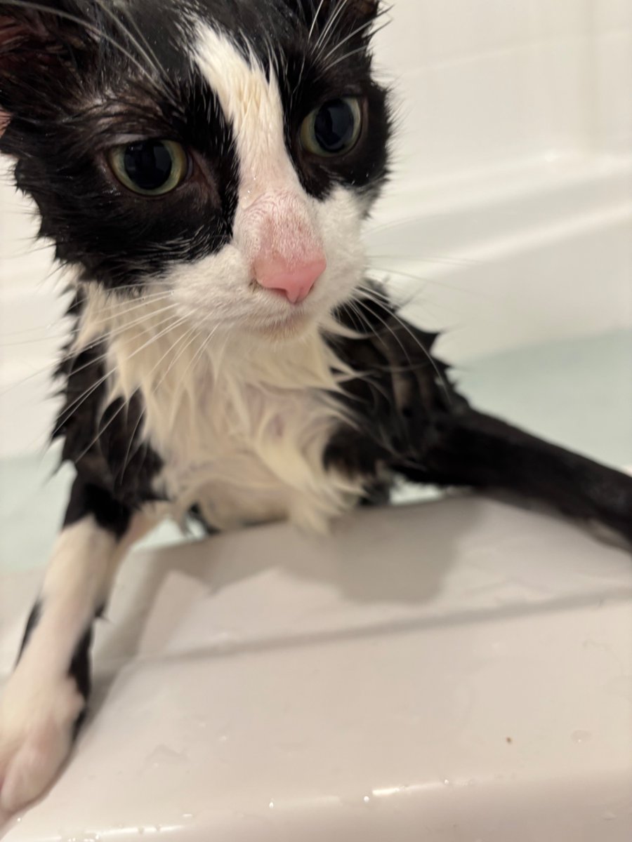 Naughty boys who knock over my eggs at 5am get the bath