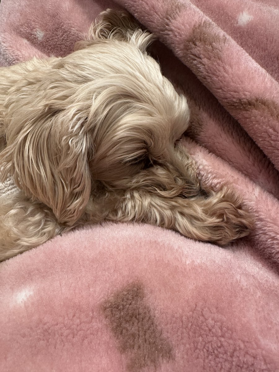 メディアスエフエム📻FM83.4 tweet media