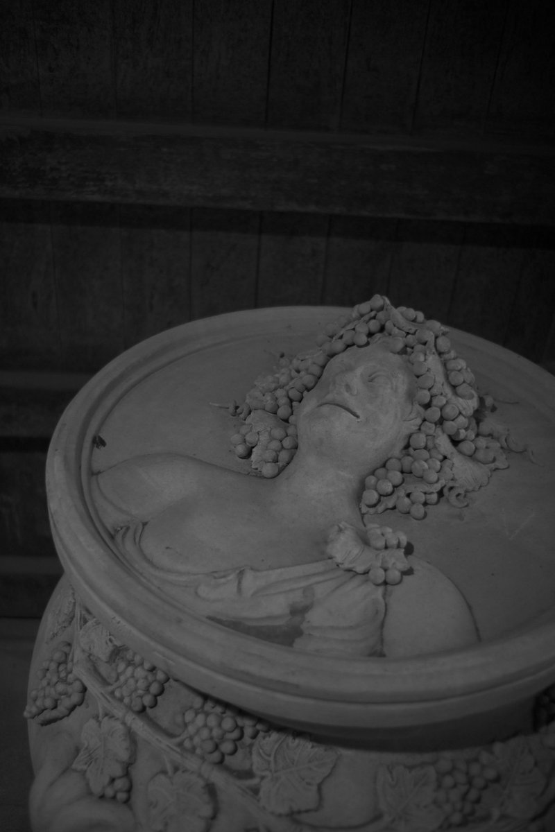 お疲れ様です。
明日は暖かくなるそうです。

カメラ　Zf
レンズ　auto w.rokkor-hg 35mm f2.8

#ニコン #オールドレンズ　#ジャンクレンズ　#ミノルタ