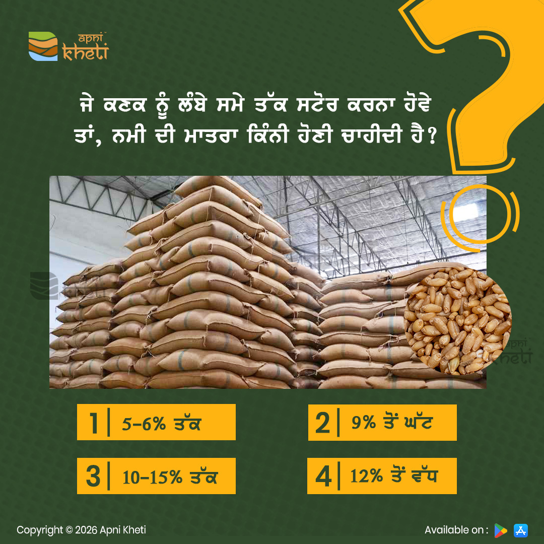 apnikheti's tweet image. ਕਣਕ ਨੂੰ ਲੰਬੇ ਸਮੇ ਤੱਕ ਸਟੋਰ ਕਰਨ ਲਈ ਉਸ ਵਿੱਚ ਨਮੀ ਦੀ ਲੋੜੀਂਦੀ ਮਾਤਰਾ ਕਿੰਨੀ ਹੋਣੀ ਚਾਹੀਦੀ ਹੈ? ਜੇ ਤੁਹਾਨੂੰ ਇਸ ਬਾਰੇ ਜਾਣਕਾਰੀ ਹੈ, ਤਾਂ ਸਾਨੂੰ ਕਮੈਂਟ ਕਰਕੇ ਜ਼ਰੂਰ ਦੱਸੋ।
.
.
#storage #wheat #moisture #wheatstorage #moisturecontent #agriculturepoll #apnikhetii #Apnikhetiapp #foreverforfarmers