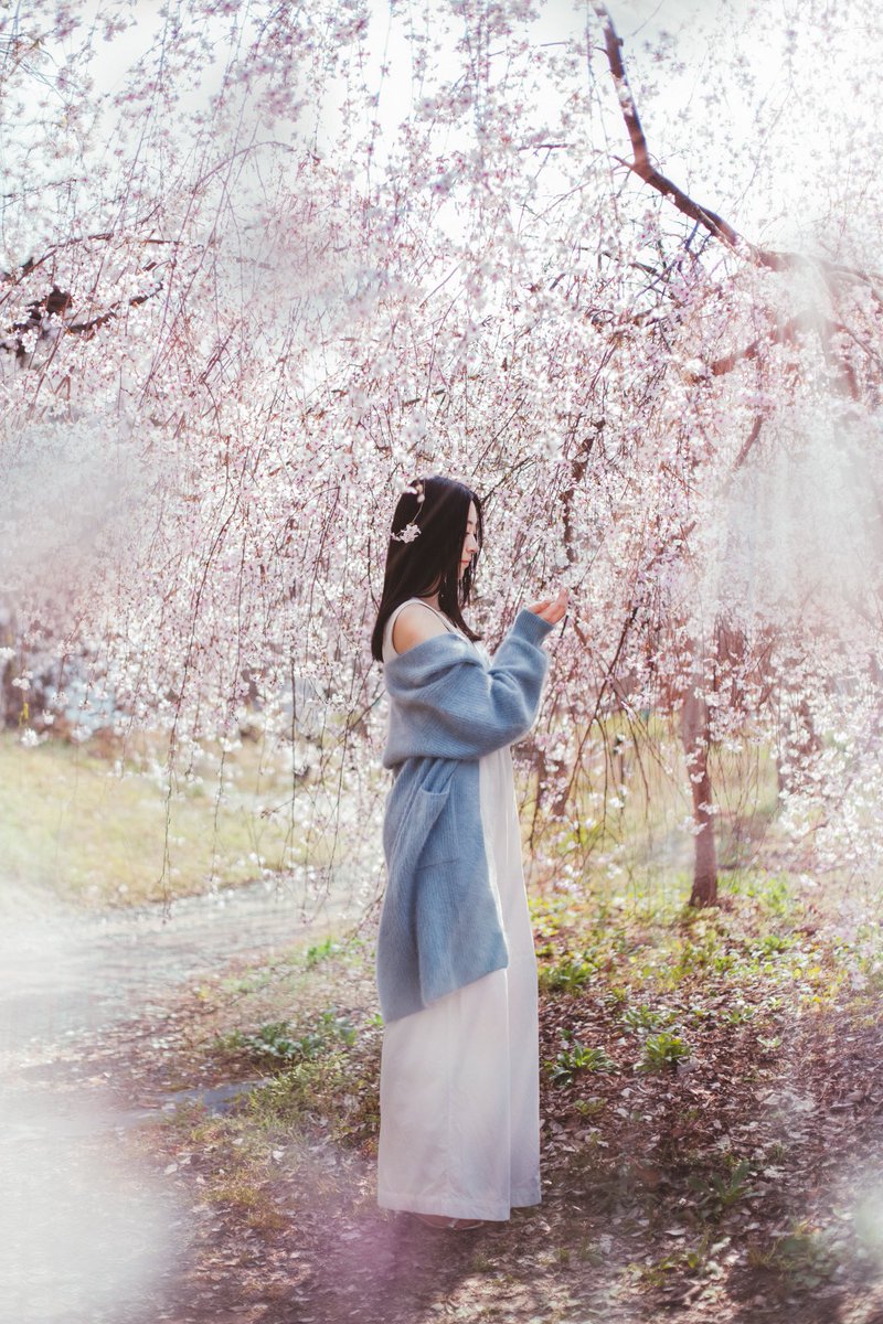 rnova123's tweet photo. 先日、日本で初めて日本人の女性を撮影しました。✨
桜の季節に、京都の植物園で素敵な2人の女性を撮影する機会がありました。🌸

お天気にも恵まれ、すべてが満開で、本当に魔法のような雰囲気でした。
光や場所、人がすべて美しく重なる瞬間の撮影は、私にとって特別な喜びです。 https://t.co/DWc6qocX5d