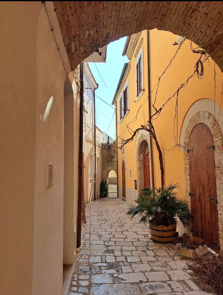 Tiziana tweet media