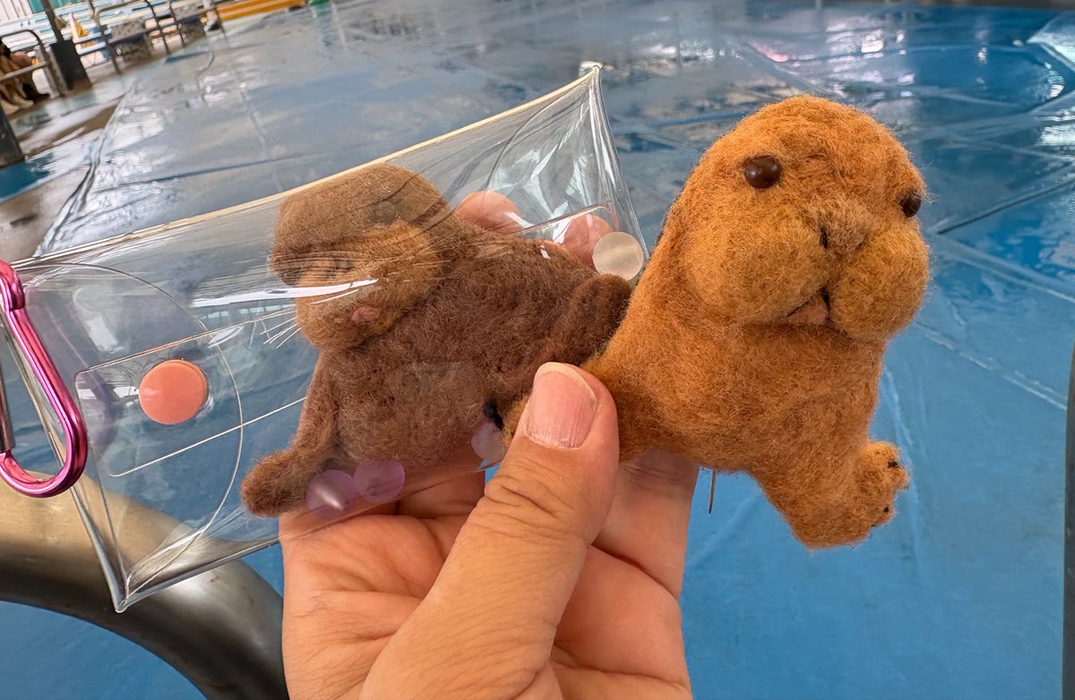 あさみ＊あけみ tweet media