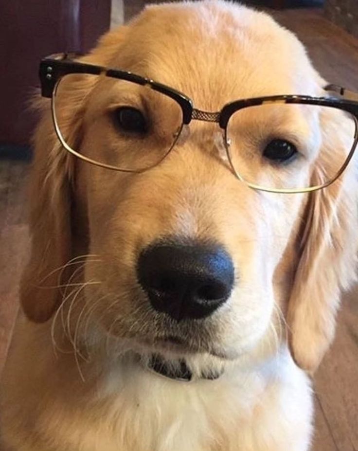 ★ (@ilsanjpg) on Twitter photo 