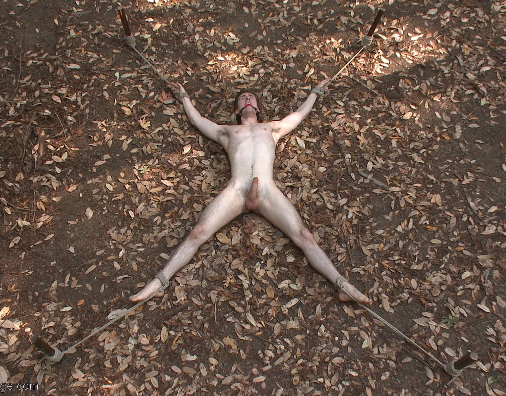 Mpls Chastity Sub (locked by @Thatguy8604641) tweet media