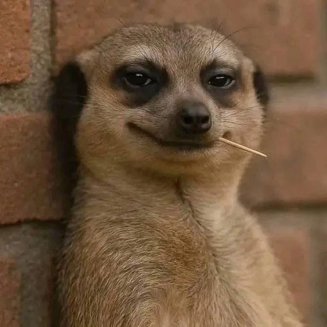 Onuoha Lorenzo tweet media