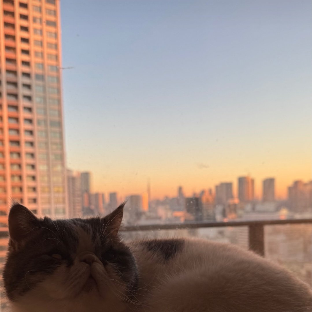 ぬまえみポケGO tweet media