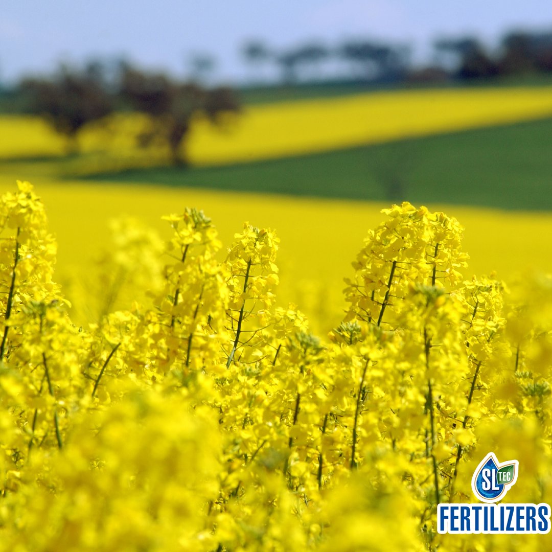 SLTEC Fertilizers tweet media