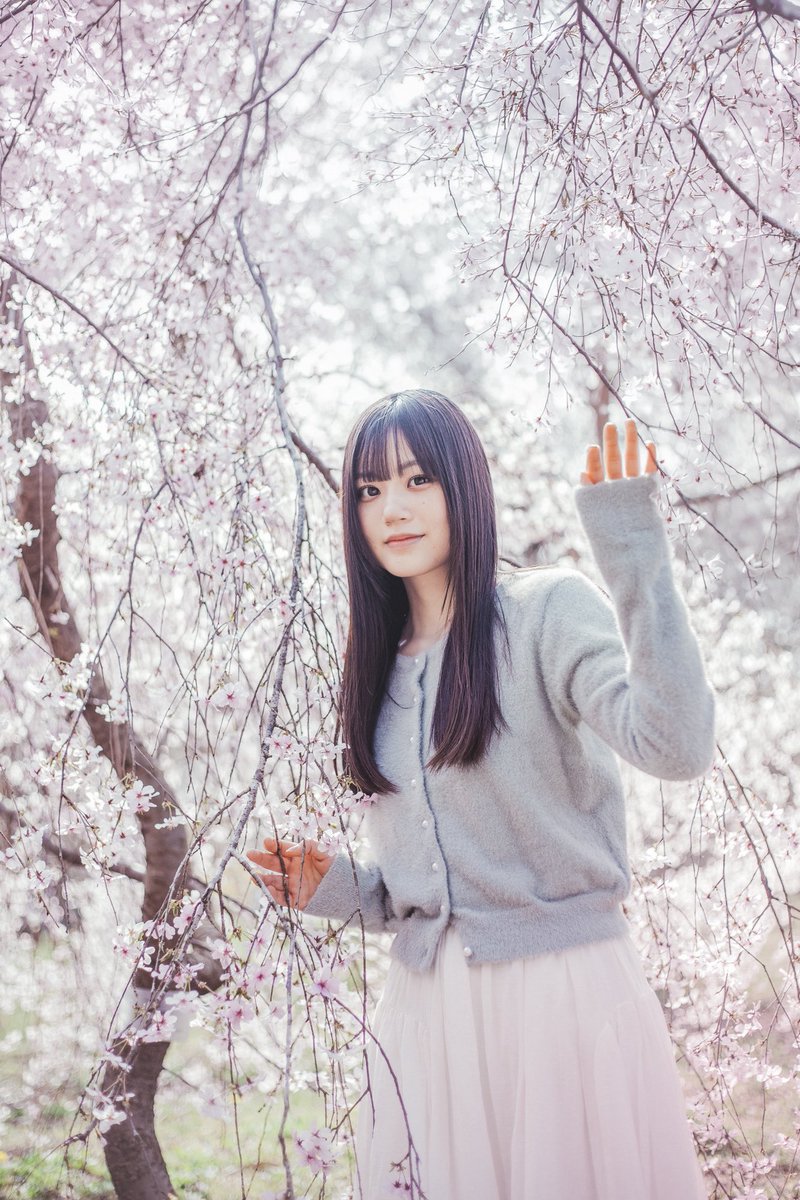 rnova123's tweet photo. 日本で初撮影。🌸✨ https://t.co/Ld3qDn10zh