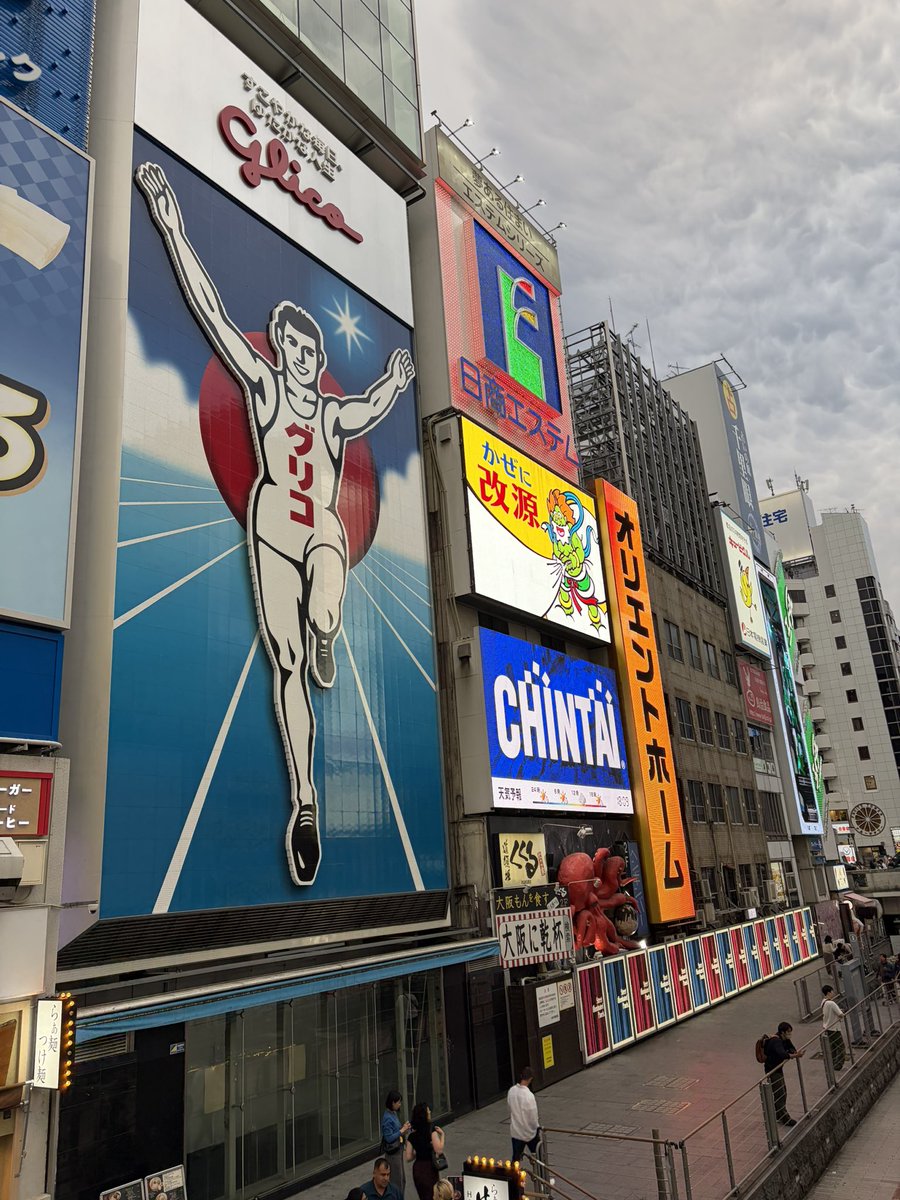 いんげん/シゲキX！ tweet media