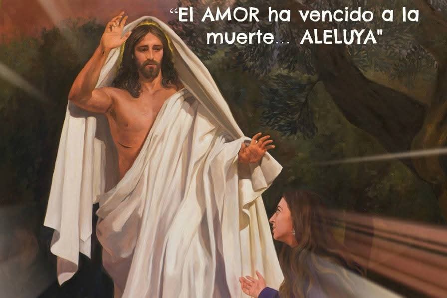 "¡Tiemblas! Piensas en las caídas, en las dificultades, en los malentendidos, en los ataques de todas partes, en la humillación, en la muerte. ¿Ya olvidaste el Evangelio? El Señor ya sufrió todo eso. Persevera en su seguimiento y revivirás" (Cardenal Francois Van Thuan).