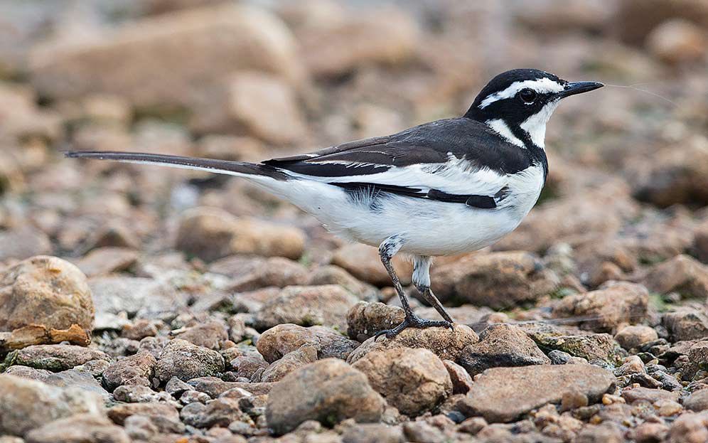 Samantha Naturinda Mugimba tweet media