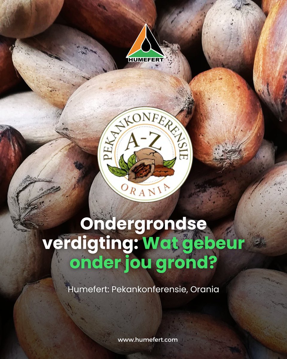 Humefert tweet media