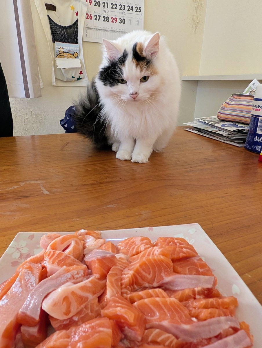 アヴェマナヴ tweet media