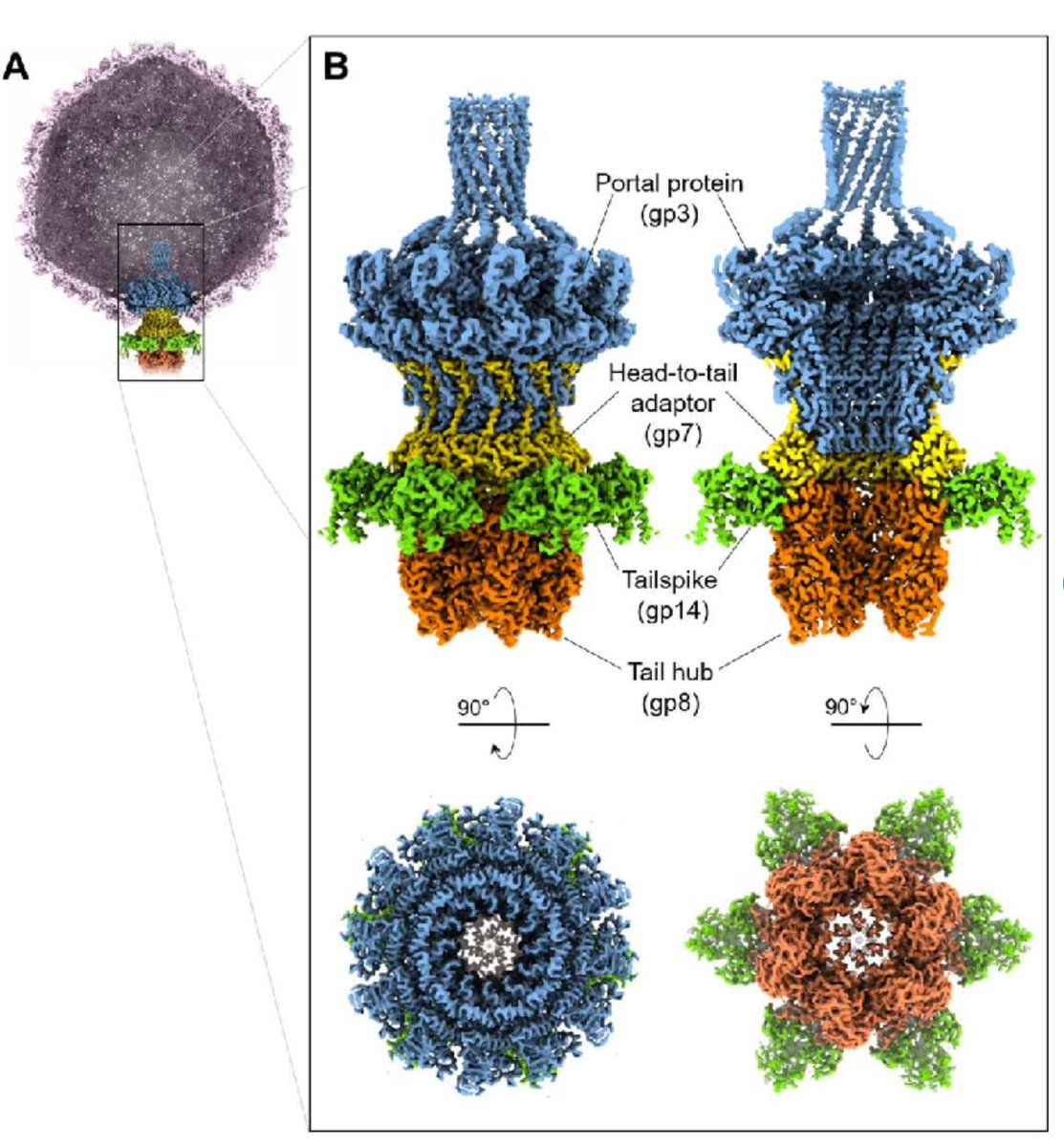 정진원 tweet media