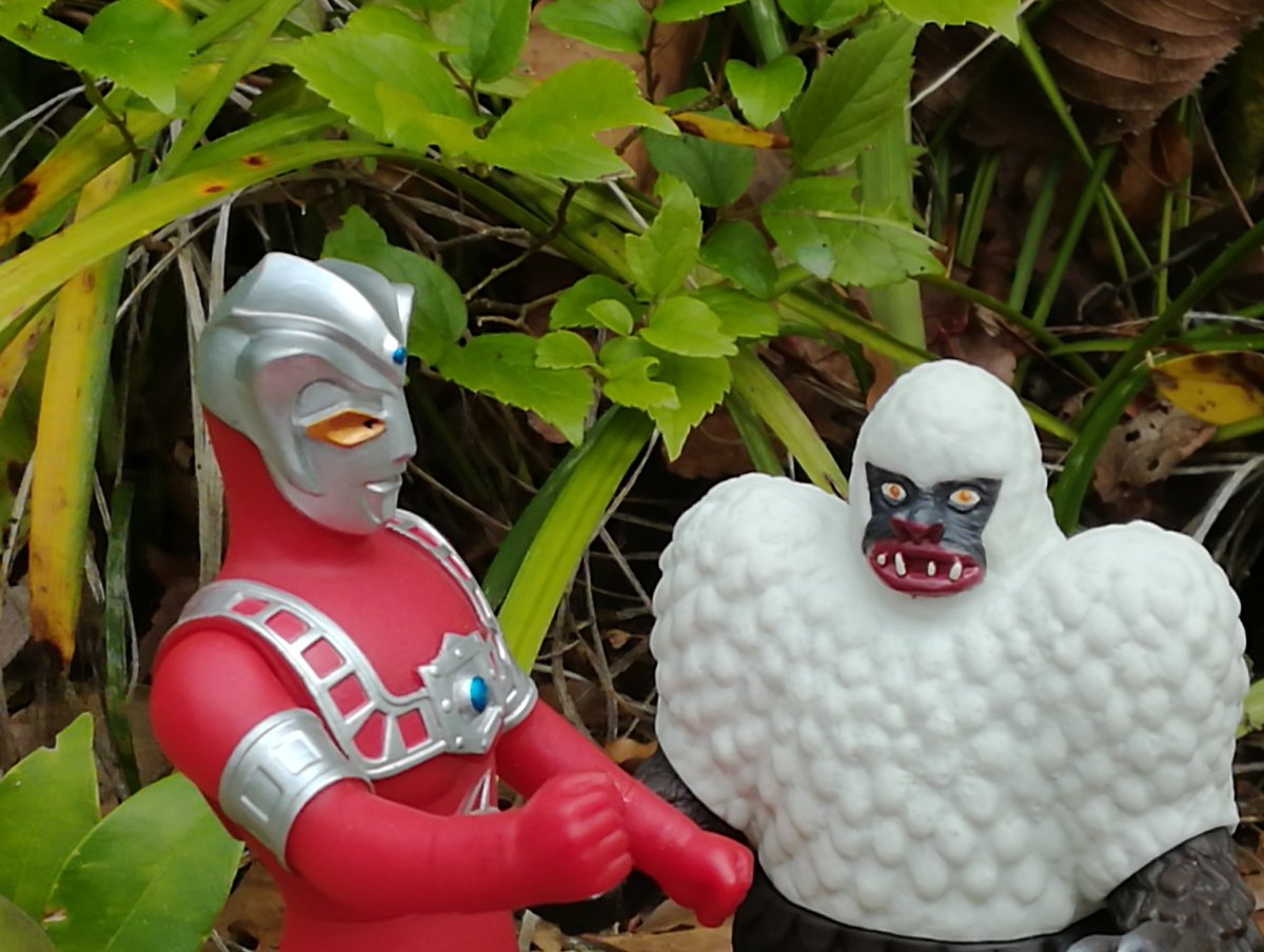 福ちゃん tweet media