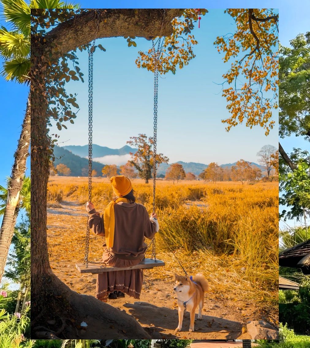 Calvin Garron tweet media