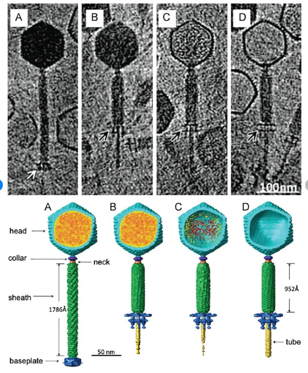 정진원 tweet media