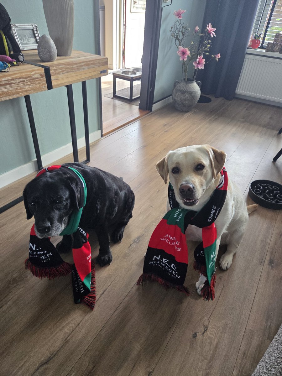 Jacqueline Jansen tweet media