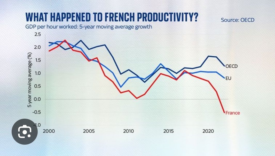Les Mileistes Français 🦁🇫🇷 tweet media