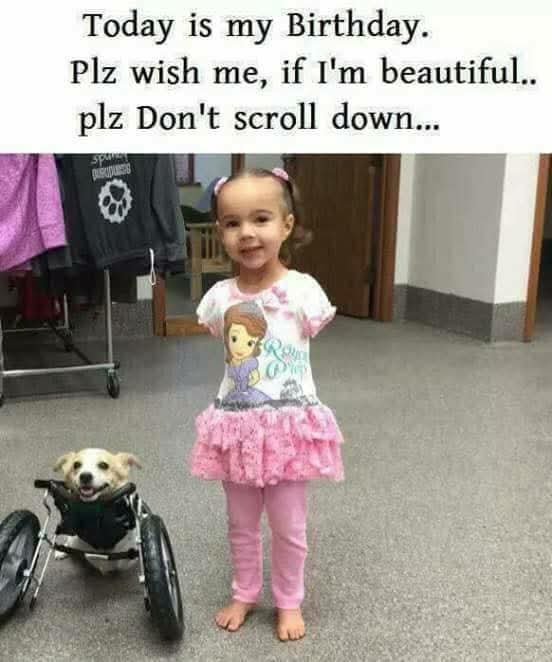 Miss Velora tweet media