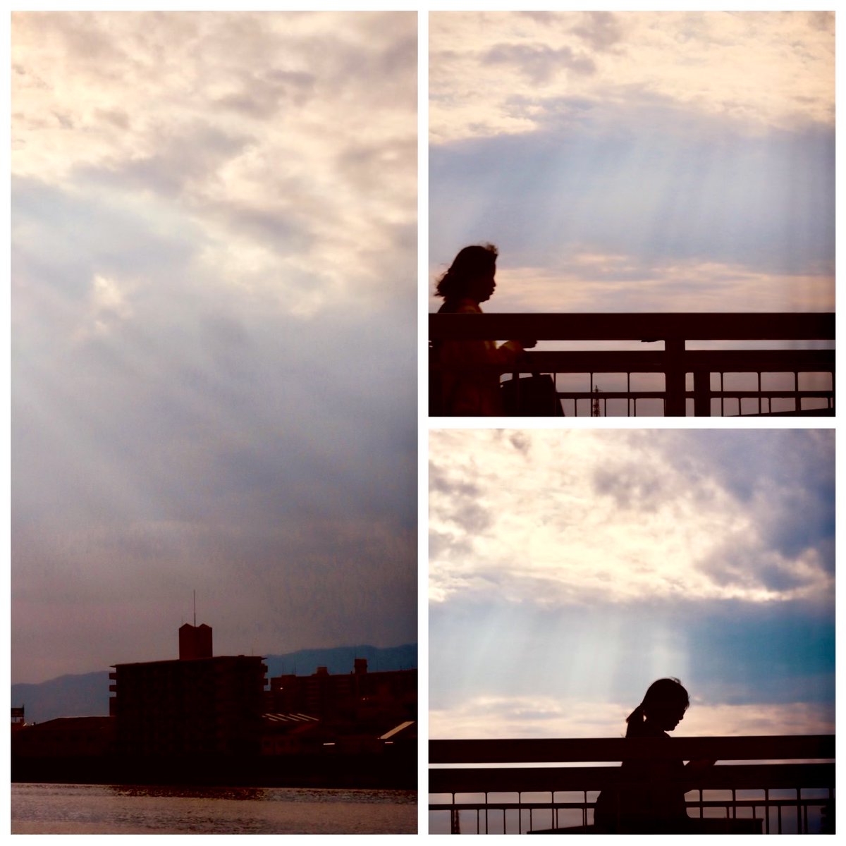 かんなぎ tweet media