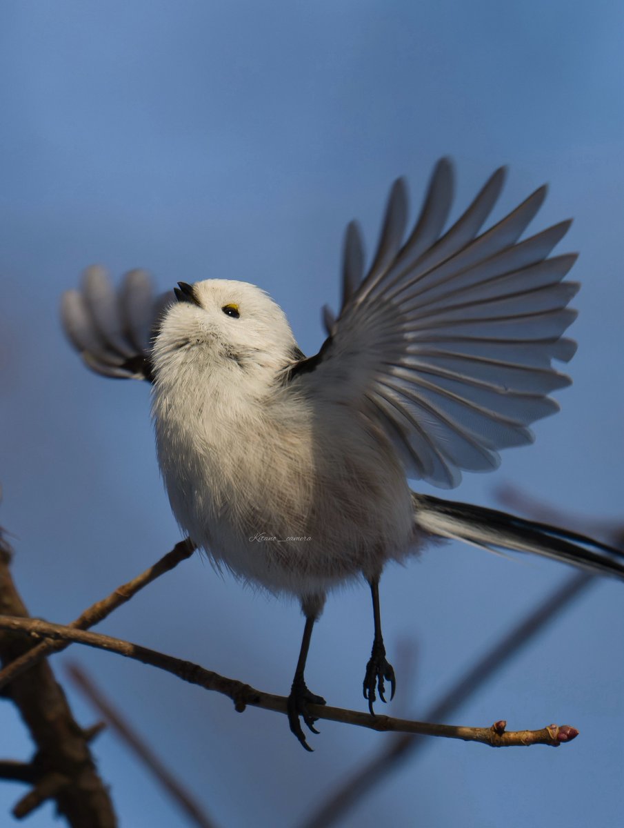 ちょっと開いてる口がかわいい！
