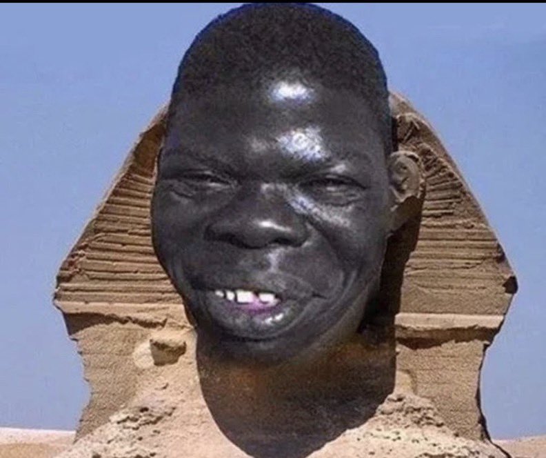 mr.niggeristics tweet media