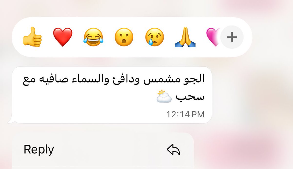 ﹌﹌﹌﹌﹌ tweet media