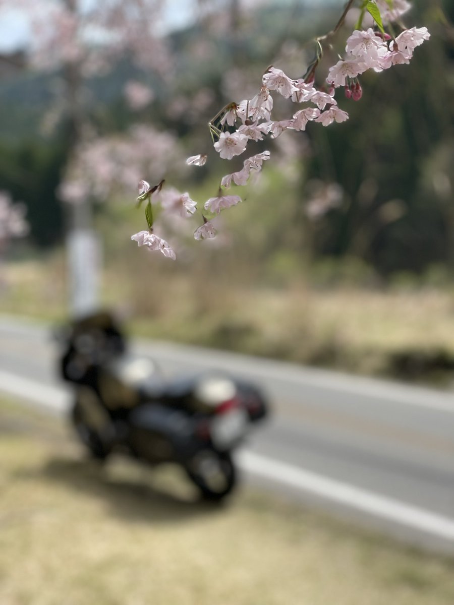 The Dapoo! Experience tweet media