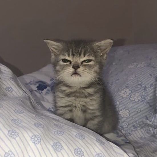 liliana❼⊙⊝⊜ tweet media