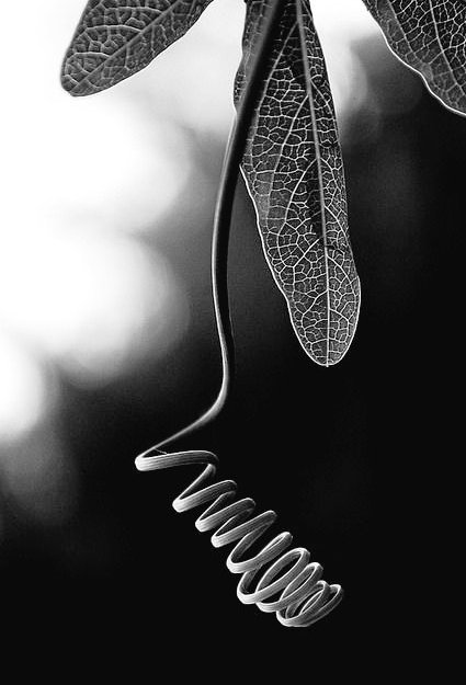 Noirflyer tweet media