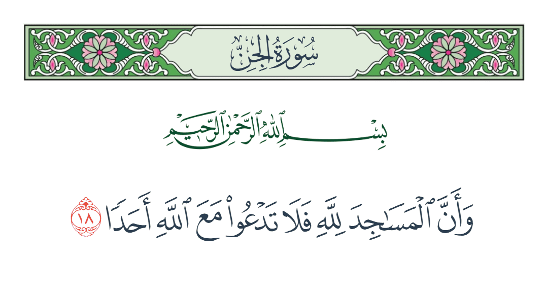 جمال الشامي tweet media