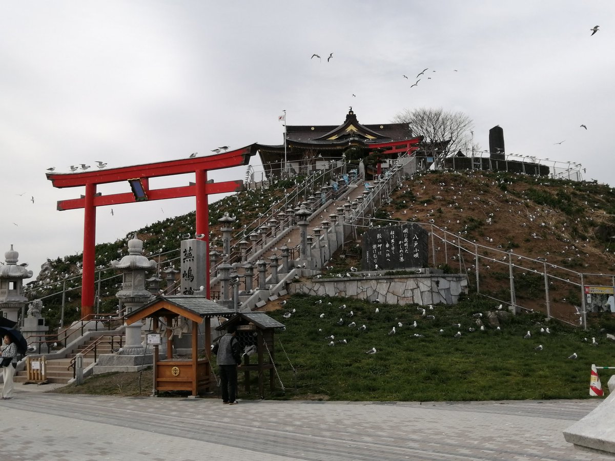 野生のmegu tweet media