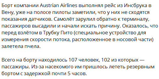 ПолуБОТ.👞 tweet media