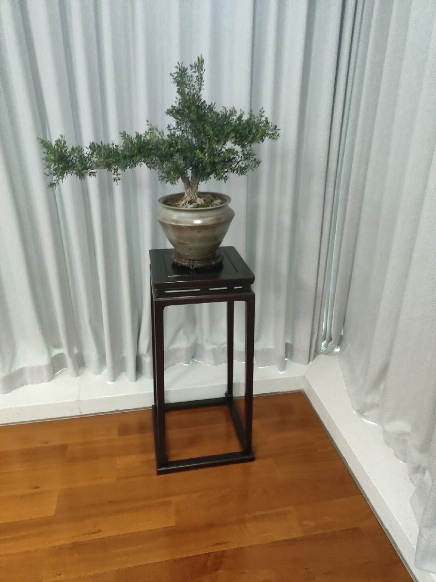 Fauziah Bt Ajamain tweet media