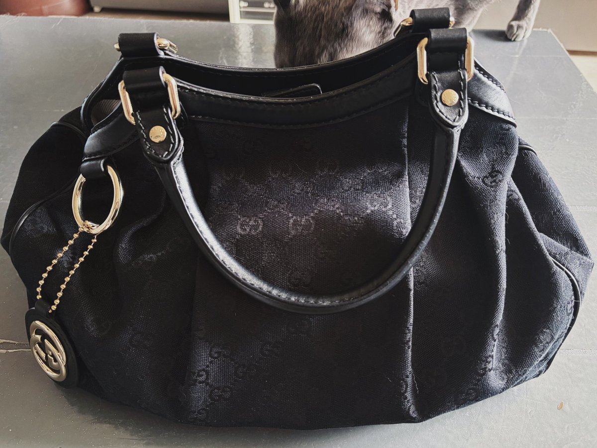 olivthecat's tweet image. Nouveau sac (ft Brioche), je suis amoureuse! Encore merci 🖤
#spoiled