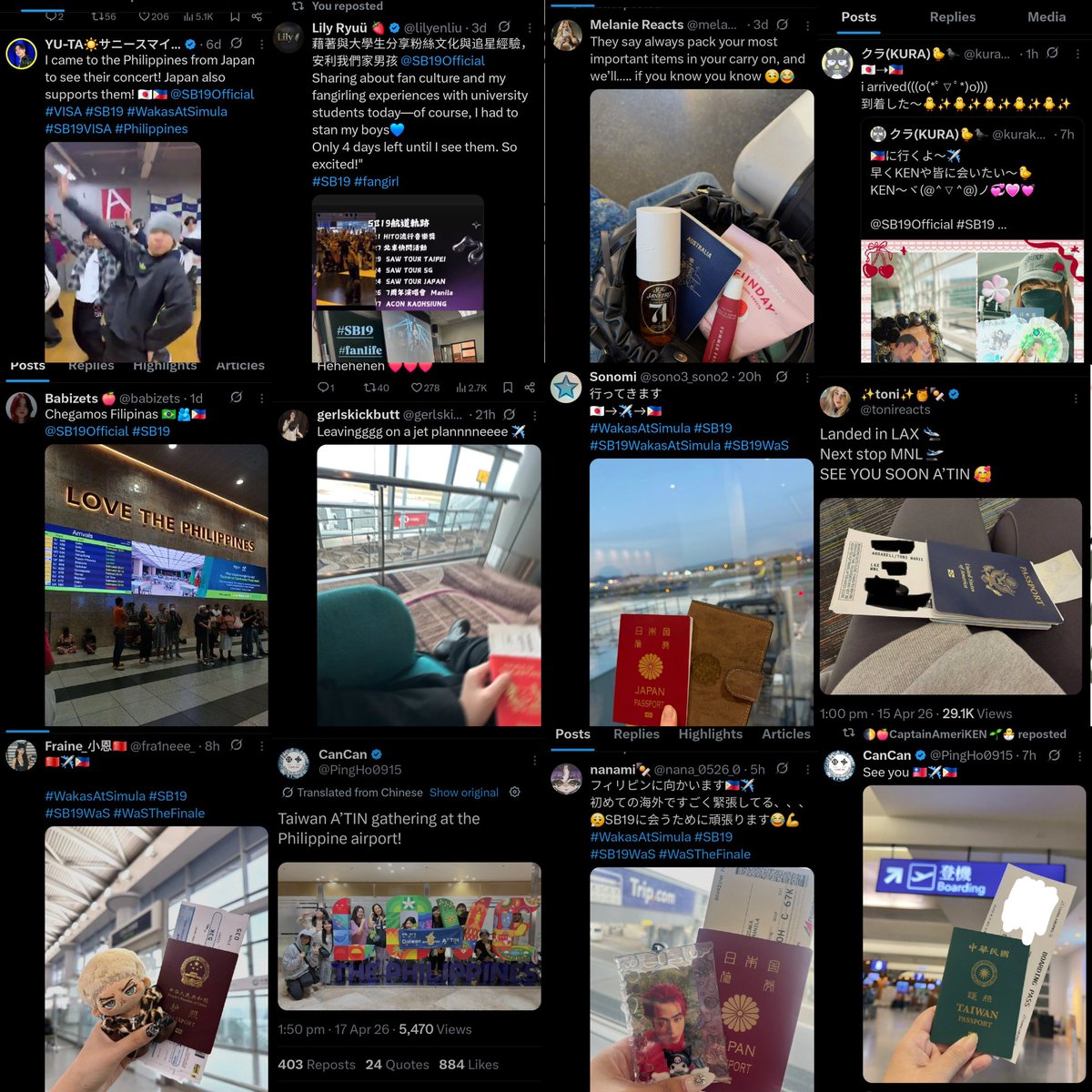 meebaobei🌳 tweet media