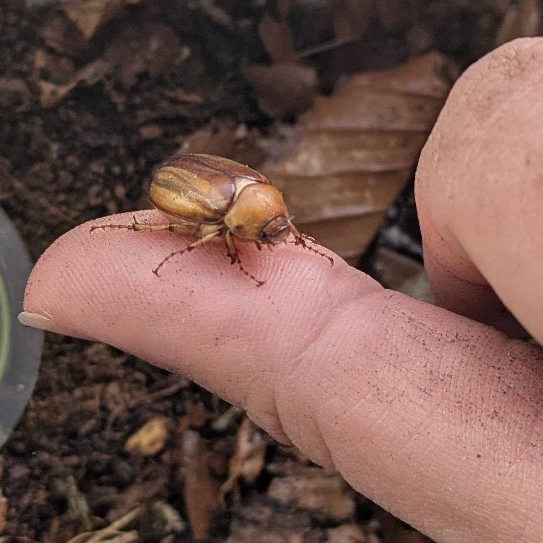 rio 🪲 bug oomf tweet media