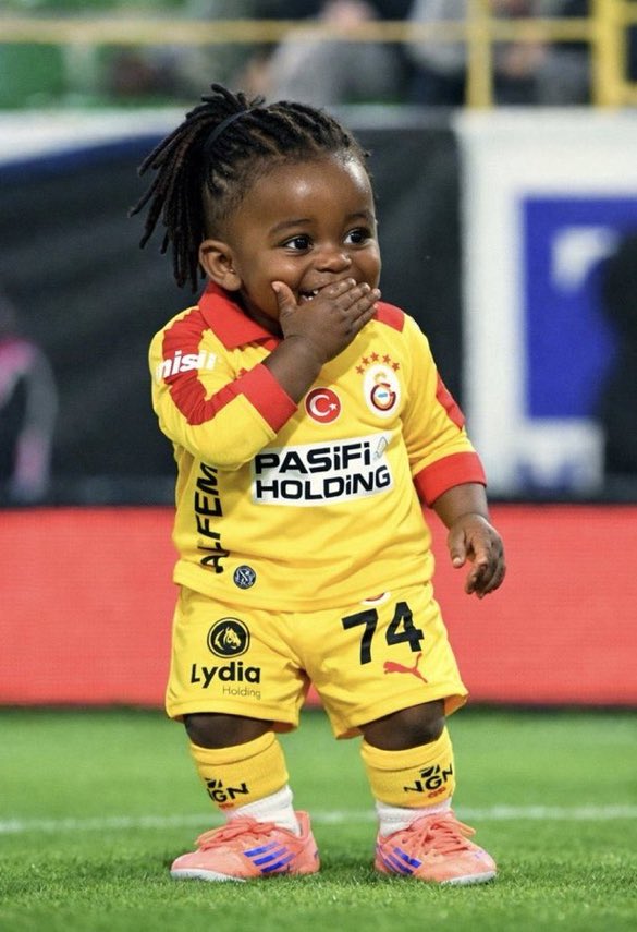 ivan bebek tweet media