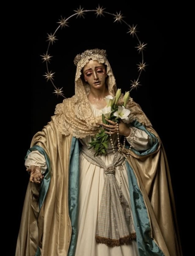 El vencejo de la torre tweet media