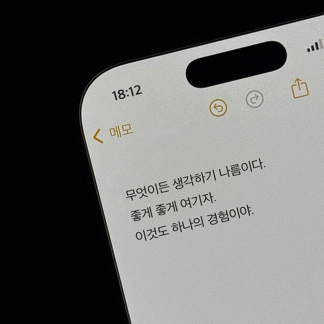 하나의 경험이라고 받아들이면 편해.