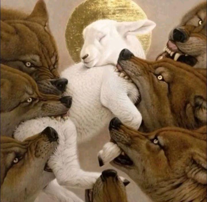 Sakyy ⁸ 🐈‍⬛ tweet media