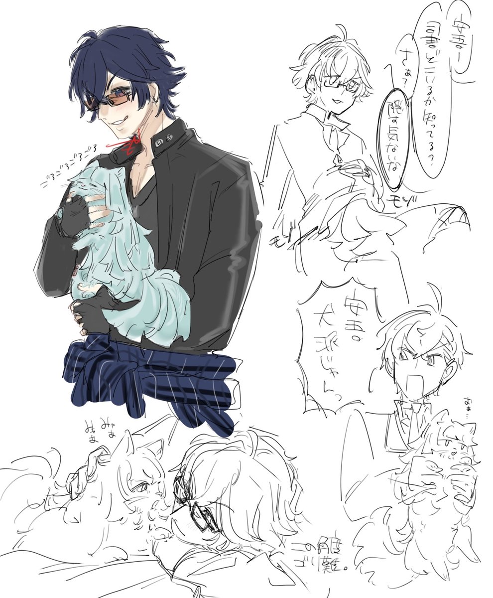 犬派に猫を
安ｼｼｮ🐱🐾