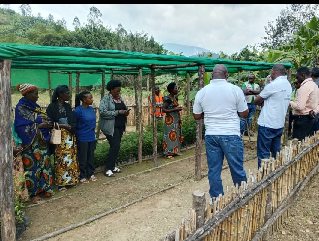 DenyseUwa's tweet image. Together, we are not just growing trees we are growing a greener, stronger future. 🌍💚

#TreeNursery  #SustainableAgriculture #GreenFuture 
#ClimateAction #CommunityGrowth