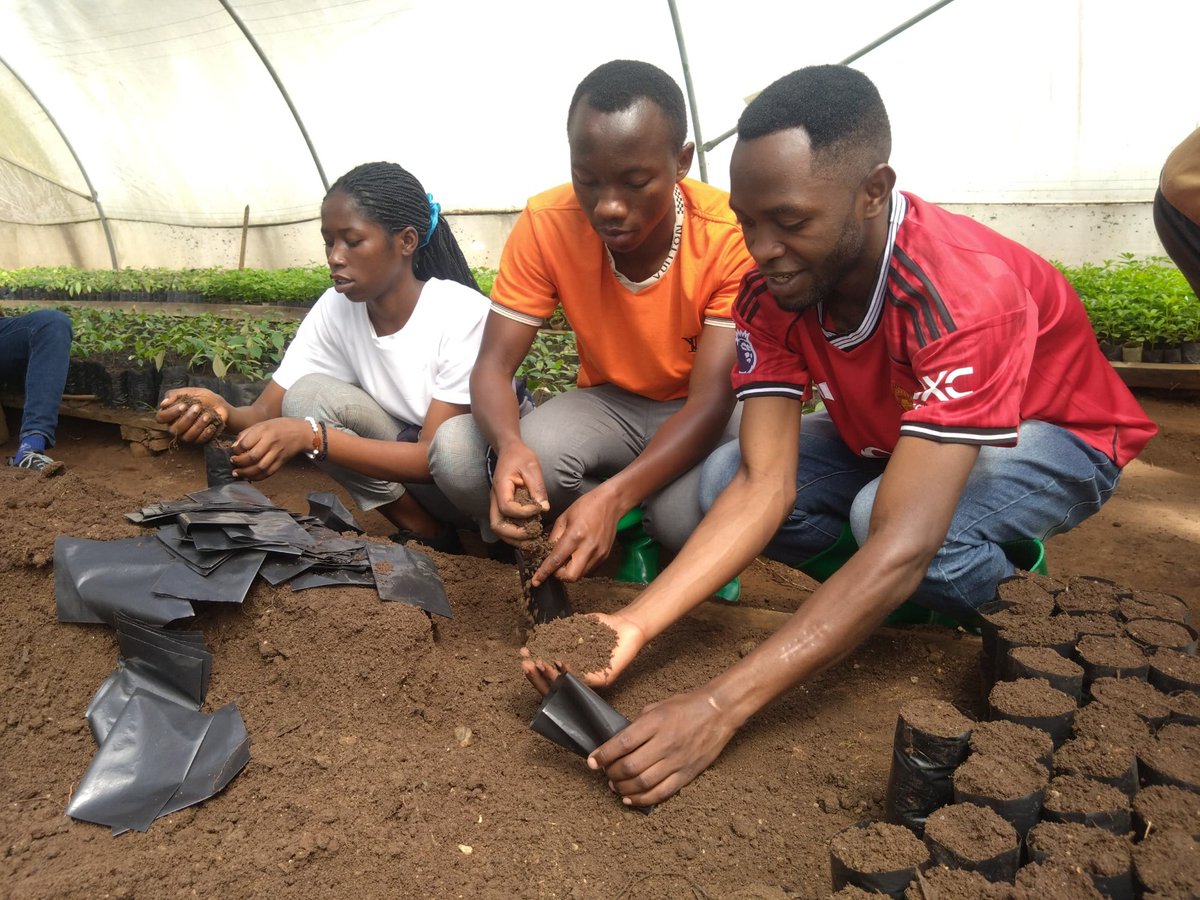 DenyseUwa's tweet image. Together, we are not just growing trees we are growing a greener, stronger future. 🌍💚

#TreeNursery  #SustainableAgriculture #GreenFuture 
#ClimateAction #CommunityGrowth