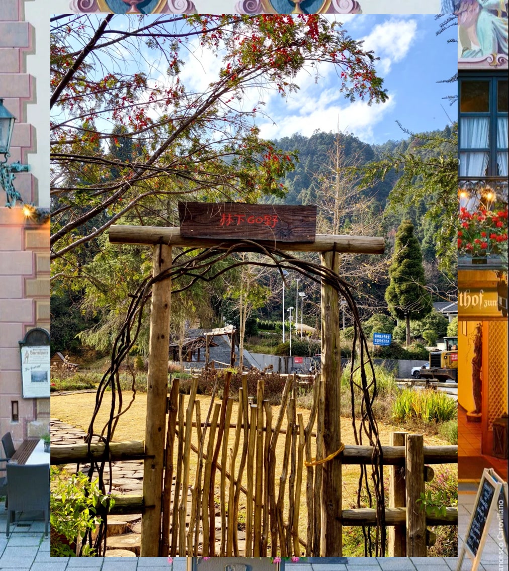 Stephen Fisher tweet media