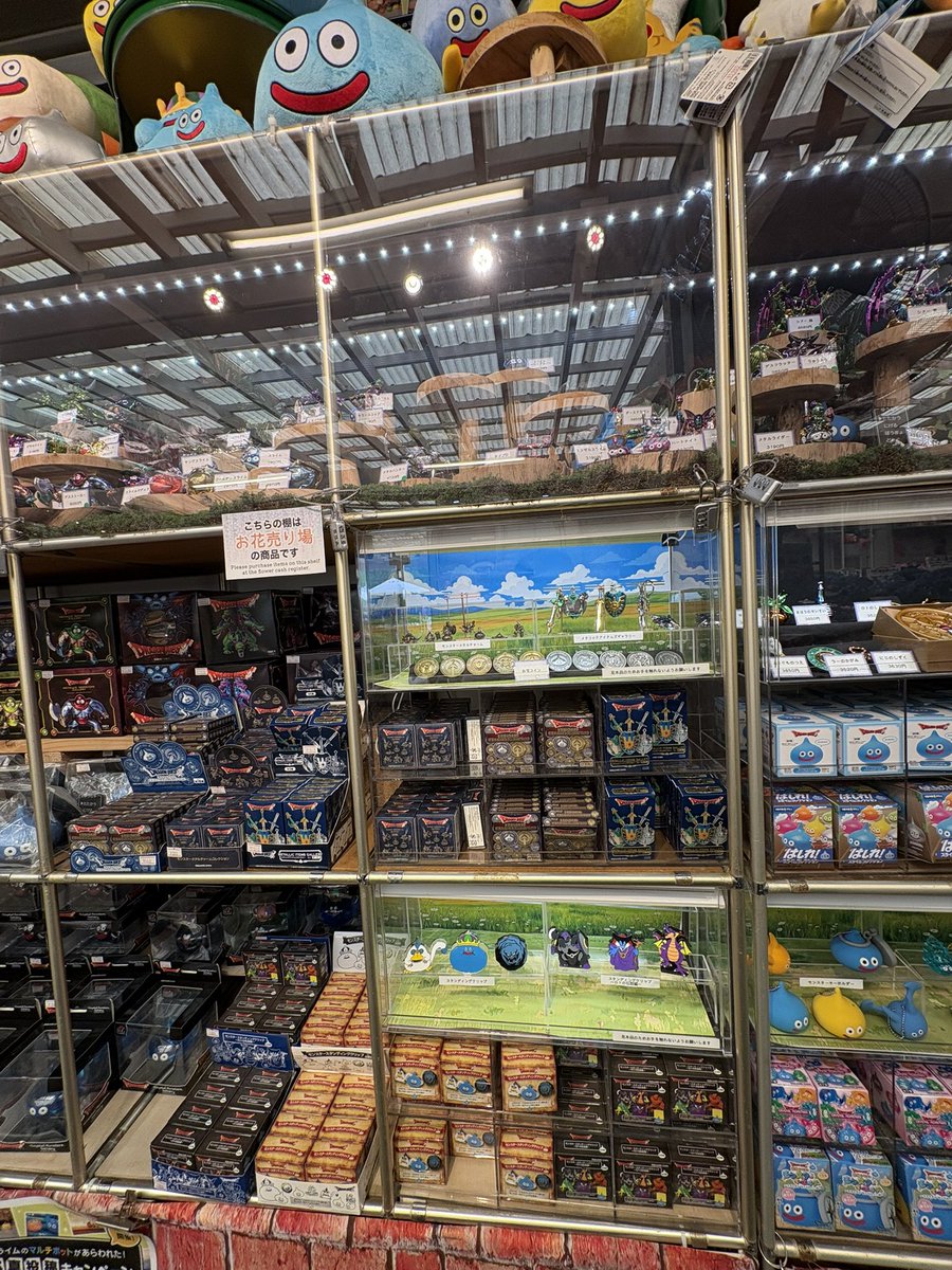 kuramon_photos's tweet image. ドラクエグッズ満載！

最高！

#あしかがフラワーパーク 
#DQ
#ドラゴンクエスト
