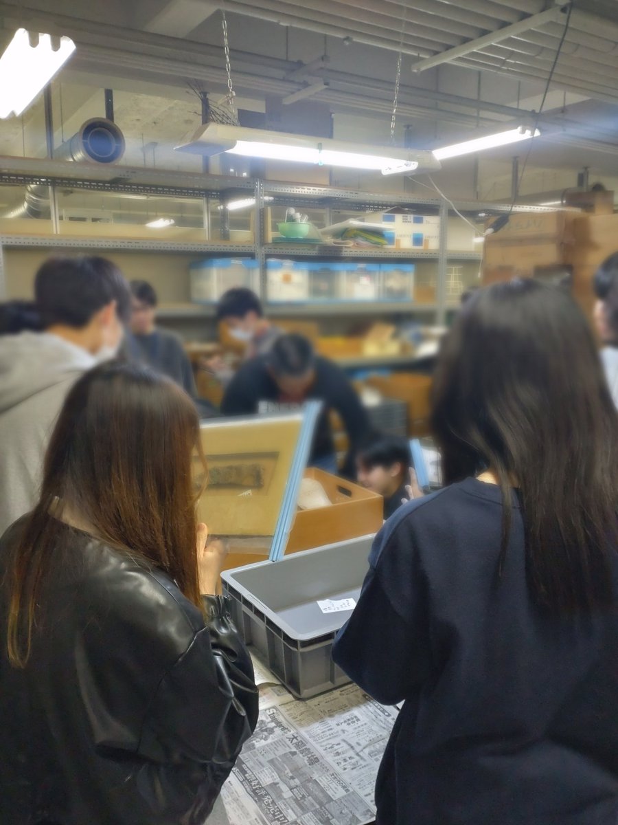 tgu_koukoken's tweet photo. 昨日は今年度最初の活動として、新入部員の顔合わせと資料整理を行いました！
ご参加いただいた皆さん、ありがとうございました😊

考古学研究部では、引き続き新入部員を募集中です！
少しでも興味がある方は、4月末までにXまたはインスタのDMでお気軽にご連絡ください！ https://t.co/YHHPiJk7JO